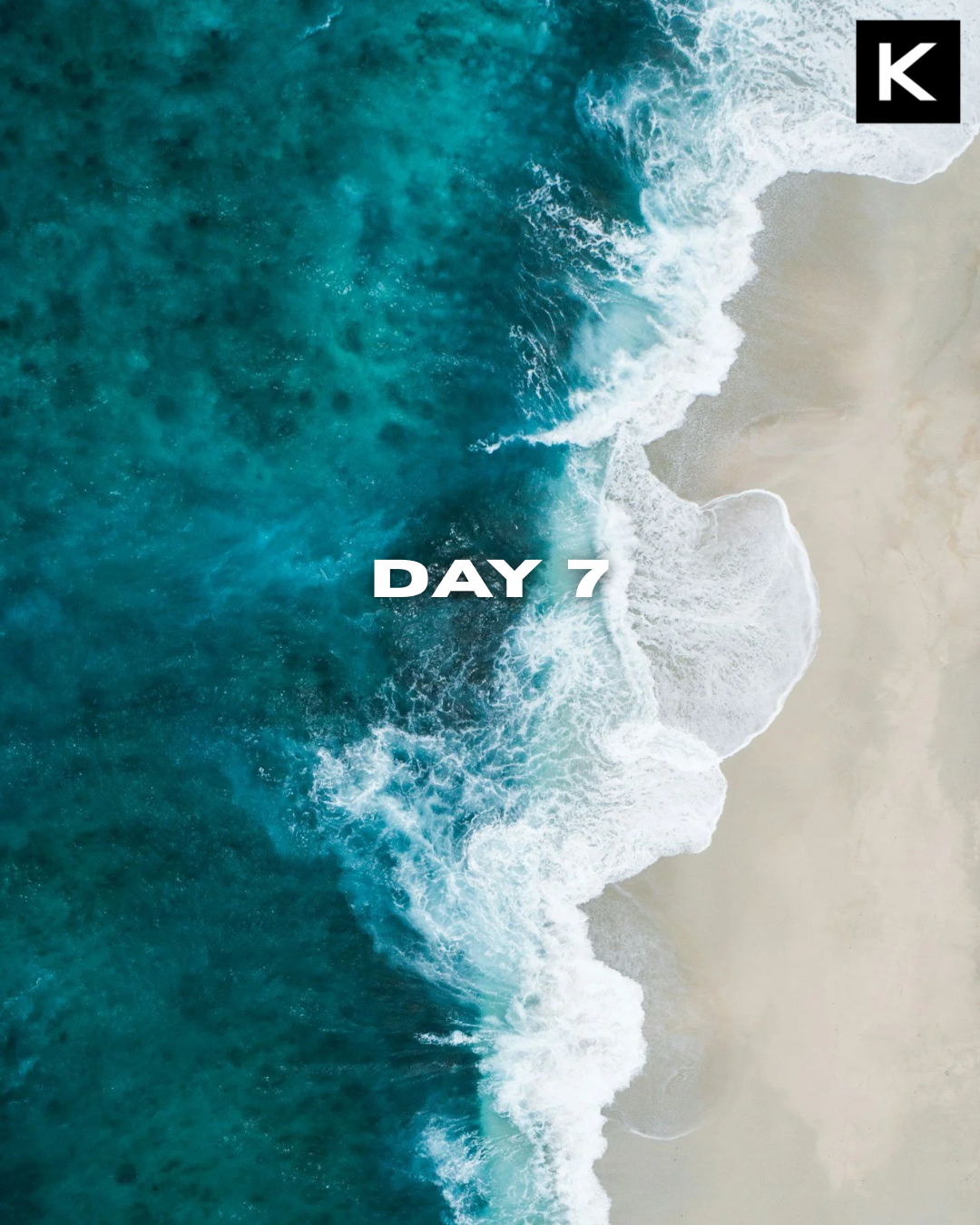Portrait · IG feed